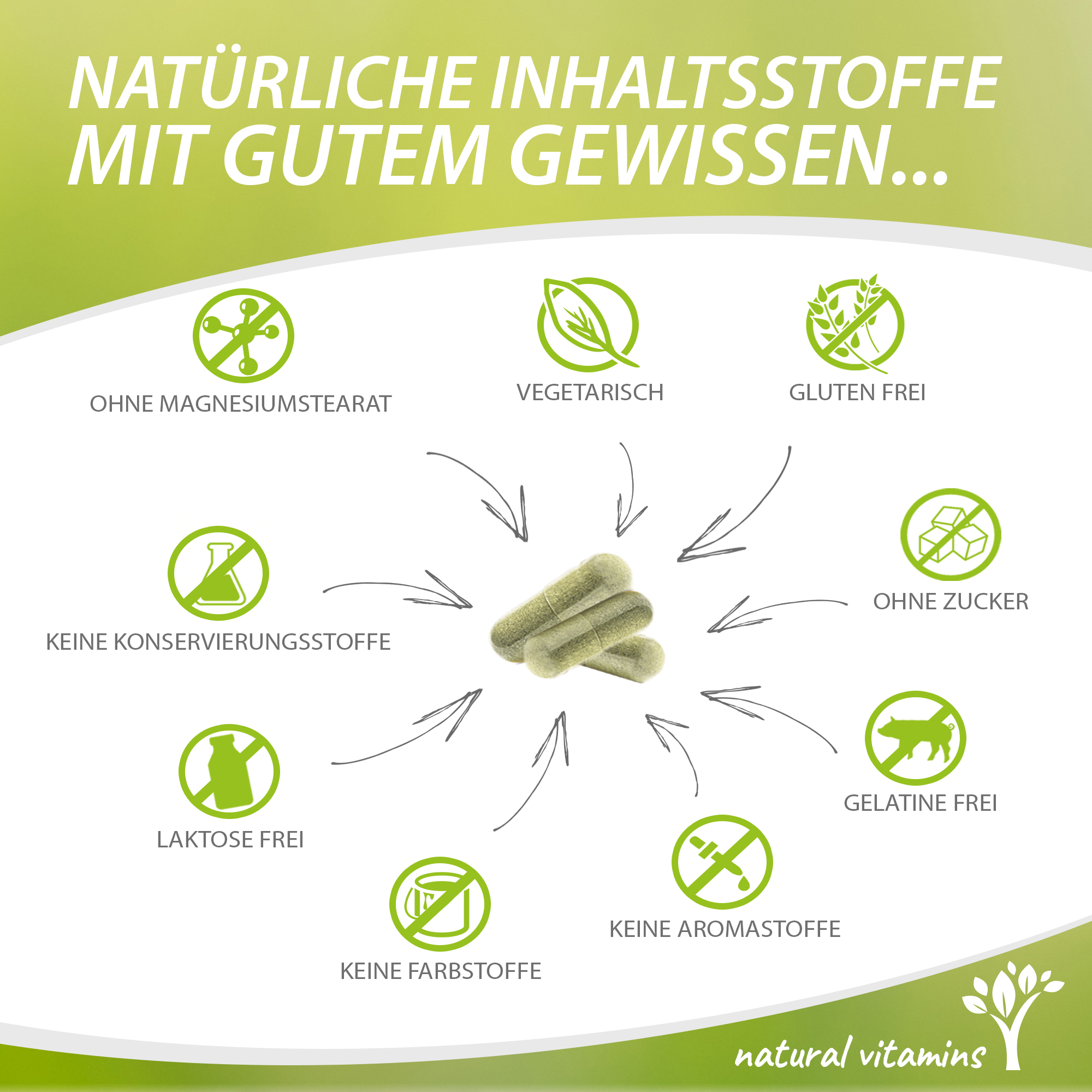 Planta Nutrition Natural Vitamins Vitamin D3 K2 Omega 3 Kapseln